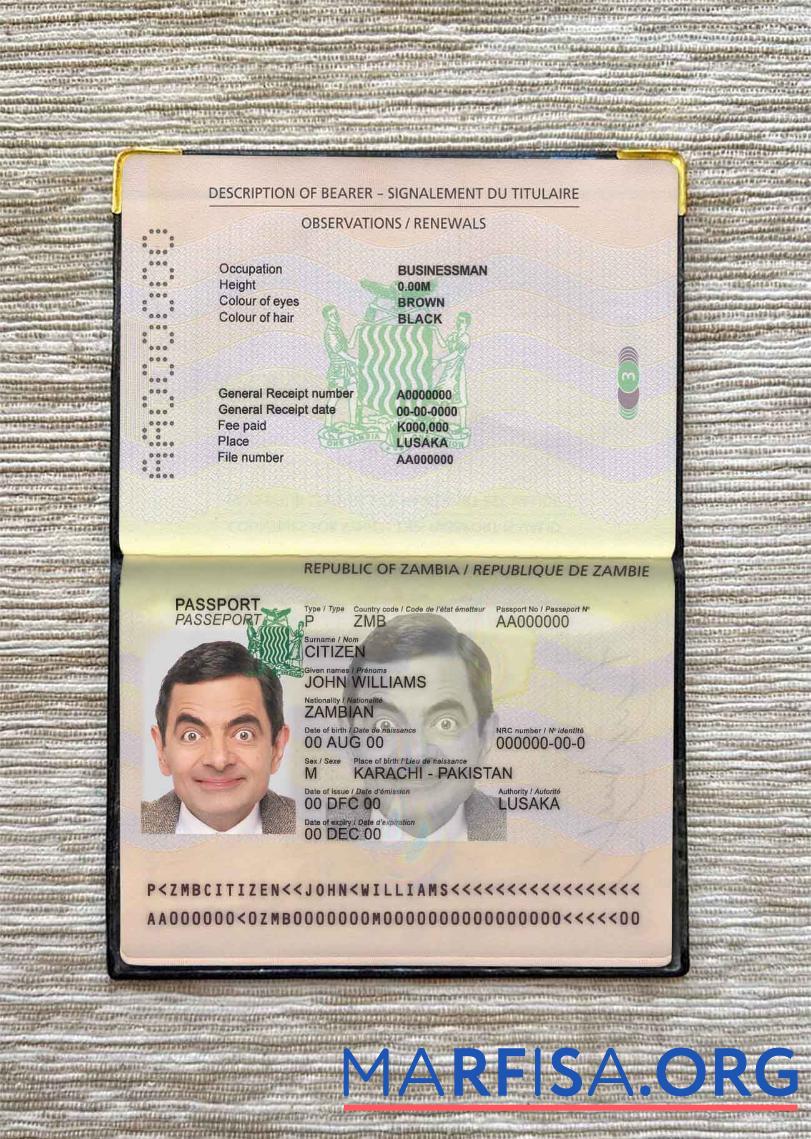 Realistic Zambia pass photo look real example